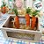 Kit Caixote Decorativo com Tela nas Laterais e Alça - P 22cm / M 26cm / G 30cm - 3 unidades - Cromus  - Rizzo - Imagem 3