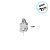 Pick Decorativo - Capivara - 5cm - 8 unidades - Regina - Rizzo - Imagem 2