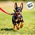 PetCode - Batman - 3,5x2cm - 1 unidade - Rizzo - Imagem 4