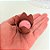 Forminha para Doces Finos - Mônaco Avelã - 50 unidades - Decora Doces - Rizzo - Imagem 3