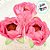 Forminha para Doces Finos - Bela Rosa Seco 1 - 30 unidades - Decora Doces - Rizzo - Imagem 2