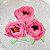 Forminha para Doces Finos - Bela Rosa Seco 1 - 30 unidades - Decora Doces - Rizzo - Imagem 1