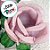 Forminha para Doces Finos - Rainha Cor Champagne - 30 unidades - Decora Doces - Rizzo - Imagem 2
