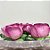Forminha para Doces Finos - Rainha Rosa queimado - 30 unidades - Decora Doces - Rizzo - Imagem 1