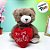 Urso De Pelúcia Com Coração "You Are Special" - Marrom - 18cm - 1 unidade - Rizzo - Imagem 1