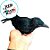 Enfeite Decorativo de Halloween - Corvo - 20cm - 1 unidade - Rizzo - Imagem 3