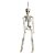 Enfeite Decorativo Halloween - Caveira Amom - 40cm - 1 unidade - Cromus - Rizzo - Imagem 1