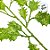 Galho Decorativo - Verde Claro - 40cm - 1 unidade - Cromus - Rizzo - Imagem 3