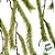 Galho Decorativo - Folhas Verdes Nevadas - 78cm - 1 unidade - Rizzo - Imagem 3