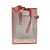 Sacola Transparente PVC com Alça e Fita  - Coral - 26x18x8cm - 1 unidade - Rizzo - Imagem 1