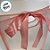 Sacola Transparente PVC com Alça e Fita  - Coral - 26x18x8cm - 1 unidade - Rizzo - Imagem 3