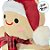Almofada Gingerbread De Natal - Gingerbell - 37x53cm - 1 unidades - Rizzo - Imagem 3