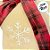 Almofada Gingerbread De Natal - Gingerbell - 37x53cm - 1 unidades - Rizzo - Imagem 5