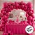 Balão de Festa Látex Liso - Fucsia -  unidades - FestBall   - Rizzo - Imagem 2
