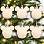 Bola de Natal - Mickey - Aveludada Bege - 6cm - 6 unidades - Disney Original - Rizzo - Imagem 1