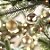 Bolas de Natal em Tubo - Champagne Fosco/Brilho com Glitter - 10x10cm  - 6 unidades - Cromus - Rizzo - Imagem 1