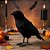 Enfeite Decorativo De Halloween - Corvo - 28x40x11,5cm - 1 unidade - Florarte  - Rizzo - Imagem 1