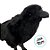 Enfeite Decorativo De Halloween - Corvo - 17,5x28x9,5cm - 1 unidade - Florarte  - Rizzo - Imagem 2