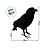 Enfeite Decorativo De Halloween - Corvo - 17,5x28x9,5cm - 1 unidade - Florarte  - Rizzo - Imagem 3