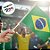 Bandeira do Brasil Para Torcida - Copa do Mundo - 14x21cm - 12 unidades - Rizzo - Imagem 5