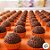 Forminha para Doces - Laranja - Número 05 - 100 unidades - Regina - Rizzo - Imagem 3