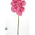 Haste Flor Permanente - Orquídea Phalaenopsis - Pink - 50cm - 1 unidade - Rizzo - Imagem 4