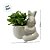 Vaso Decorativo Páscoa de Porcelana - Coelho com Planta Artificial - Branco - 10,5x10cm - 1 unidade - Rizzo - Imagem 6