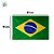 Varal Decorativo - Bandeira do Brasil - Plástico - 10m
 - 1 unidade - Rizzo - Imagem 4