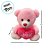 Urso de Pelúcia com Coração Amor - Rosa - 17x21x12cm - 1 unidade - Rizzo - Imagem 3