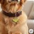PetCode - Mulher Maravilha - 3,5cm - 1 unidade - Zonacriativa - Rizzo - Imagem 4