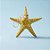 Enfeite Decorativo Para Pendurar em Resina - Estrela do Mar - Amarelo - 13cm - 1 unidade - Rizzo - Imagem 1