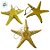 Enfeite Decorativo Para Pendurar em Resina - Estrela do Mar - Amarelo - 13cm - 1 unidade - Rizzo - Imagem 3
