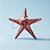 Enfeite Decorativo Para Pendurar em Resina - Estrela do Mar - Vermelho - 13cm - 1 unidade - Rizzo - Imagem 1
