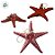 Enfeite Decorativo Para Pendurar em Resina - Estrela do Mar - Vermelho - 13cm - 1 unidade - Rizzo - Imagem 3