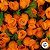 Mini Buque de Flores Artificiais - Laranja - 8cm - 12 unidades - Rizzo - Imagem 5