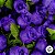 Mini Buque de Flores Artificiais - Roxo - 8cm - 12 unidades - Rizzo - Imagem 5