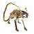 Enfeite Decorativo Halloween - Esqueleto Rato - 26x5x7,5cm - 1 unidade - Rizzo - Imagem 2