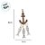 Enfeite Decorativo de Madeira - Pendente Nautico de Ancora e Peixes - 32x12cm - 1 unidade - Rizzo - Imagem 2
