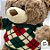 Urso de Pelúcia com Sueter de Lã - Verde - 37cm  - 1 unidade - Rizzo - Imagem 3