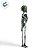 Enfeite Decorativo de Halloween Para Pendurar - Esqueleto Musgo Augustus - 40cm - 1 unidade - Cromus - Rizzo - Imagem 4