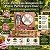 Kit Cesta Pic Nic Para 2 Pessoas - 35x15x25cm com 12 Peças - Natural/Vermelho - 1 unidade - Cromus - Rizzo - Imagem 2
