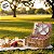 Kit Cesta Pic Nic Para 2 Pessoas - 35x15x25cm com 12 Peças - Natural/Vermelho - 1 unidade - Cromus - Rizzo - Imagem 6