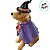 Enfeite Decorativo de Halloween em Resina - Cachorro Vira-Lata Bruxo - 12x6x8cm - 1 unidade - Cromus - Rizzo - Imagem 4