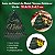 Lata de Natal de Metal - Vamos Celebrar - Verde - 18,4x15,2x6,5 cm - 1 unidade - Rizzo - Imagem 6