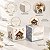 Caixa Pop Up para Panetone 100g - Sagrado Compose - Marfim e Verde - 9x9x11cm - 10 unidades - Cromus - Rizzo - Imagem 5