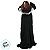 Enfeite Decorativo De Halloween Com Som, Luz e Movimento - Boneca Dursilla - 1,60m - 1 unidade - Cromus - Rizzo - Imagem 3