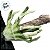 Enfeite Decorativo De Halloween Com Som e Luz - Bruxa Safira - 1m - 1 unidade - Cromus - Rizzo - Imagem 4