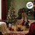 Caixa de Presente Decorativa com Laço com Led - Ouro e Prata - 3 unidades - Cromus - Rizzo - Imagem 5