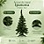 Árvore de Natal Ipanema - 74 Galhos - 60cm - 1 unidade - Cromus - Rizzo - Imagem 2
