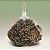Saquinho com Pinhas - Marrom e Musgo - 200g - 11 unidades - Cromus - Rizzo - Imagem 1